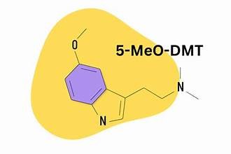 Buy 5-MeO-DMT online